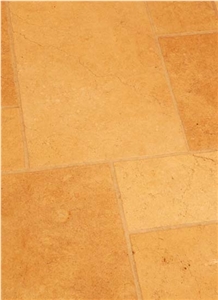 Seashell Limestone Floor Pattern Slabs & Tiles, Turkey Beige Limestone