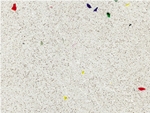 Glass Stone