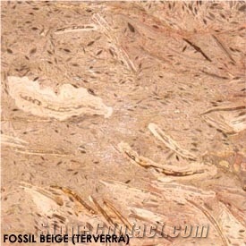 Fossil Beige Marble Slabs & Tiles, Turkey Beige Marble