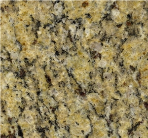 Giallo Santa Cecilia Granite Slabs & Tiles, Brazil Yellow Granite
