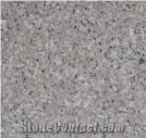 Granite Tiles and Slab (G636)