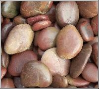 Cobbles & Pebble Stone