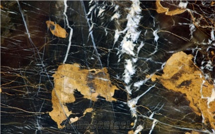 Black and Gold Marble Slabs & Tiles, Pakistan Black Marble