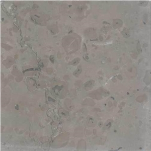 Pierre De Ruoms Limestone Slabs & Tiles, France Grey Limestone