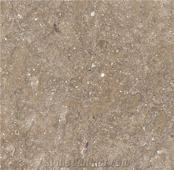 Autumn Brown Limestone Slabs & Tiles