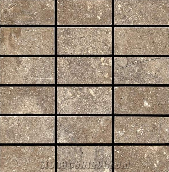 Brown Limestone Mosaic