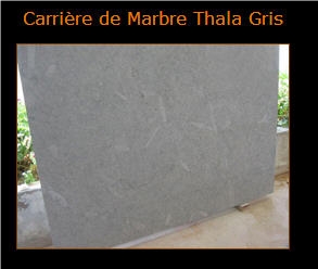 Gris Thala Limestone Slabs, Tunisia Grey Limestone