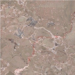 Brecha Perola Limestone Slabs & Tiles, Portugal Brown Limestone