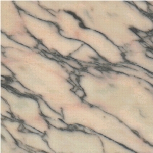 Rosa Lagoa Marble Slabs & Tiles, Portugal Pink Marble