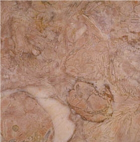 Saint Florent Marble Slabs & Tiles