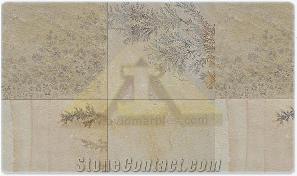 Fossil Sandstone Slabs & Tiles, India Beige Sandstone