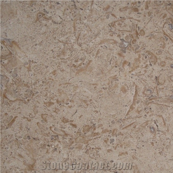 Blanco Fossil Travertine Dark Tiles & Slabs, Brown Travertine Floor Tiles, Wall Tiles