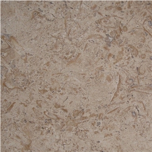 Blanco Fossil Travertine Dark Tiles & Slabs, Brown Travertine Floor Tiles, Wall Tiles