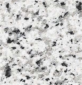 Saudi Bianco Granite Slabs & Tiles, Saudi Arabia White Granite