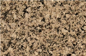 Copper Silk Beige Granite Slabs & Tiles, India Pink Granite