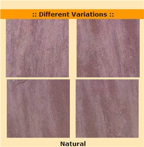 Mandana Red Sandstone Slabs & Tiles, India Red Sandstone