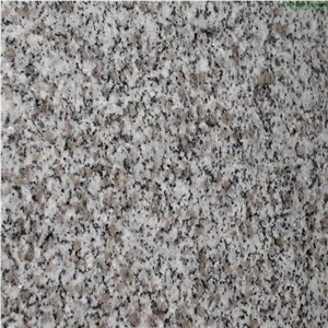 Bianco Tarn Granite Slabs & Tiles, France Grey Granite