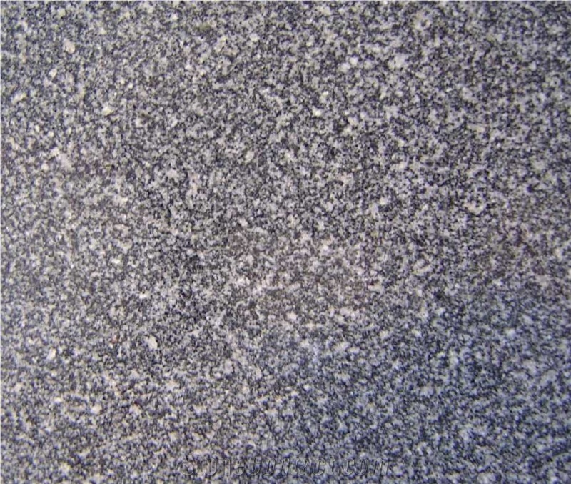 Charco Mist Granite,G654 Granite Slabs & Tiles,China Black Granite