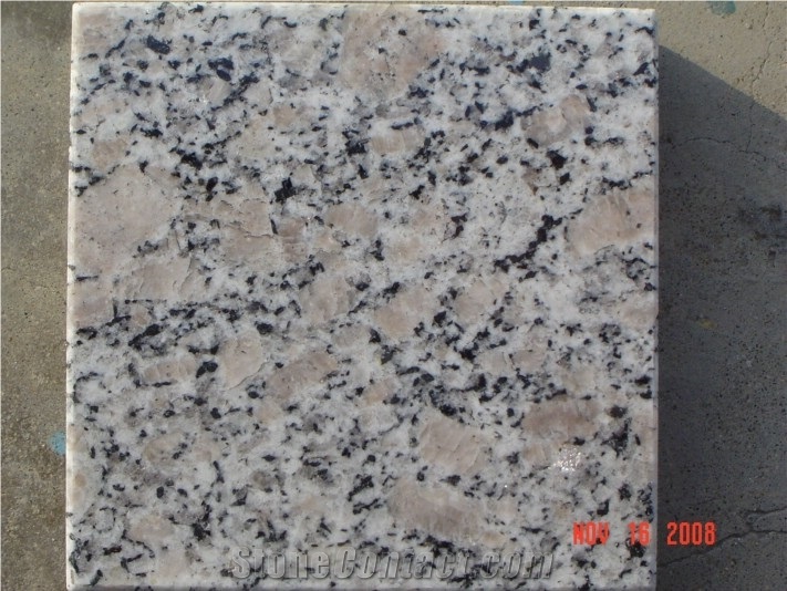 Gl1011 Star White Granite Slabs & Tiles, China White Granite