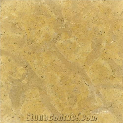 Karem Limestone Slabs & Tiles, Egypt Yellow Limestone