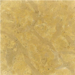 Karem Limestone Slabs & Tiles, Egypt Yellow Limestone