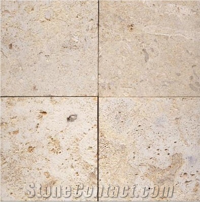 Marbella Shellstone Limestone Slabs & Tiles, Philippines Beige Limestone