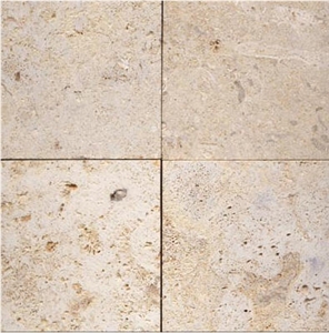 Marbella Shellstone Limestone Slabs & Tiles, Philippines Beige Limestone