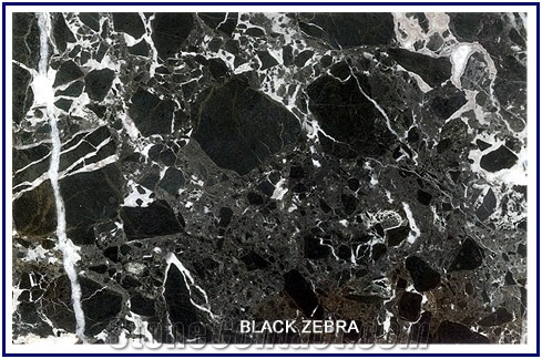 Black Zebra Marble Slabs & Tiles
