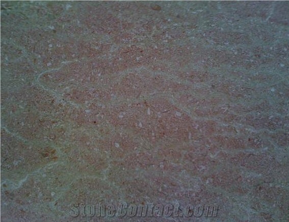 Beach Flower Marble Slabs & Tiles, Turkey Beige Marble