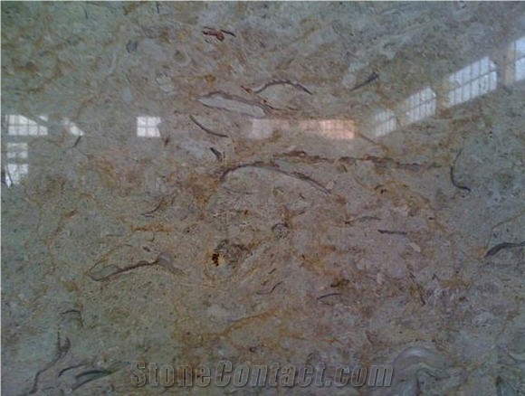 Crema Dicle Marble Slabs & Tiles