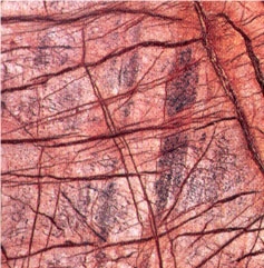 Bidaser Red Marble Slabs & Tiles, India Red Marble