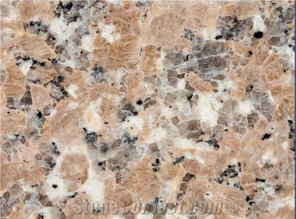 Deer Brown Granite Slabs & Tiles, Canada Brown Granite