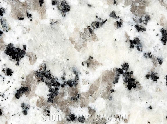 G439 Granite Slabs & Tiles, China Grey Granite