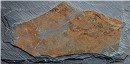 Slate Mushroom Stone