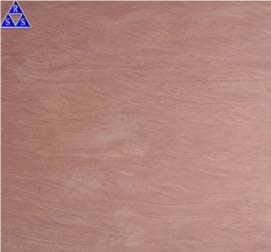 Pink Sandstone Tile&ASlab