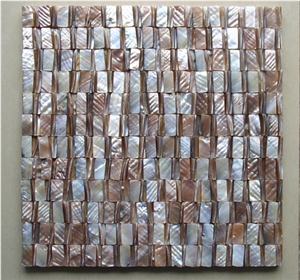 Freshwater Shell Mosaic