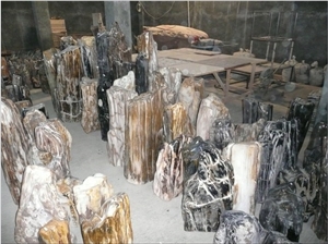 Wood Fossil Natural Stone for Garden Landscaping