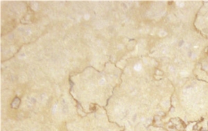 Sandros Ac Polished Marble