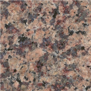 Violetta Red Granite Slabs & Tiles, Saudi Arabia Red Granite
