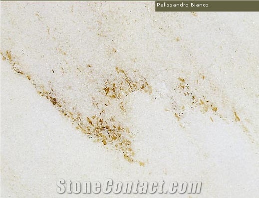 Palissandro Bianco Marble Slabs & Tiles, Italy White Marble