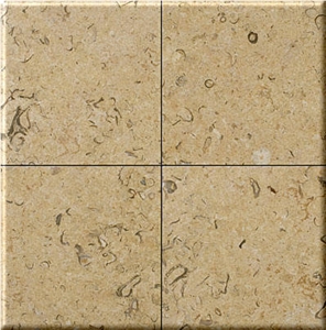 Halila Antique Fossile Limestone