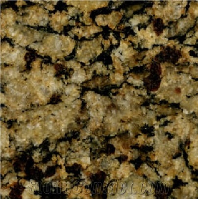 Leopard Granite Slabs & Tiles, Brazil Yellow Granite