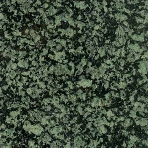 China Forest Green Granite Slabs & Tiles