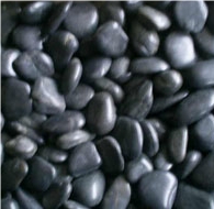 Sell Polished Black Pebble Stone