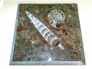 Fossil Marble Tiles & Slabs