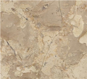Breccia Sinai Limestone Slabs & Tiles, Egypt Beige Limestone
