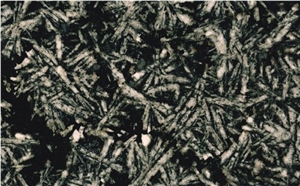 Snow Flakes
