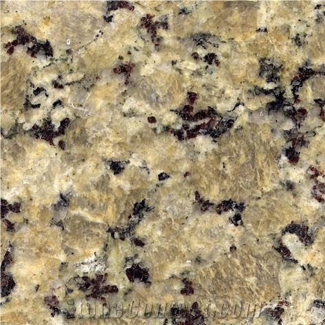 Butterfly gold granite