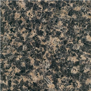 Leopard Skin (dark) Granite