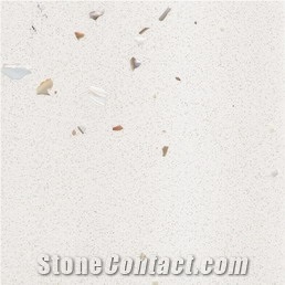 White Quartz Slab with Conch YBS-019